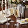 Set of Four Clear Tritan Plastic Stemmed Flutes